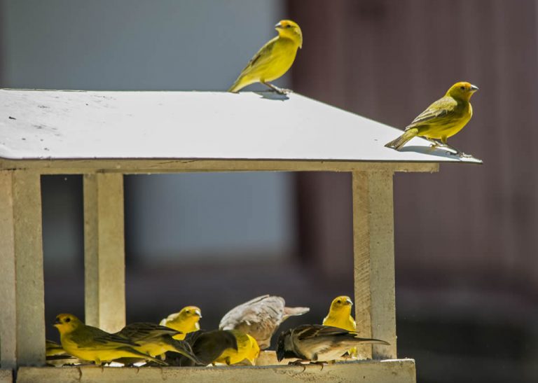 Hotel Solar dos Montes - Santana dos Montes - Ph Daniel Bianchini (38)b